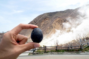 Tokyo : Mont Fuji, Hakone et musée en plein air ou Oshino Hakkai