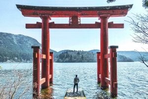 Tokyo : Mont Fuji, Hakone et musée en plein air ou Oshino Hakkai