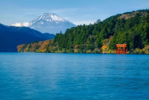 Tokyo : Mont Fuji, Hakone et musée en plein air ou Oshino Hakkai