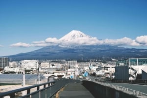 Tokyo : Mont Fuji, Hakone et musée en plein air ou Oshino Hakkai