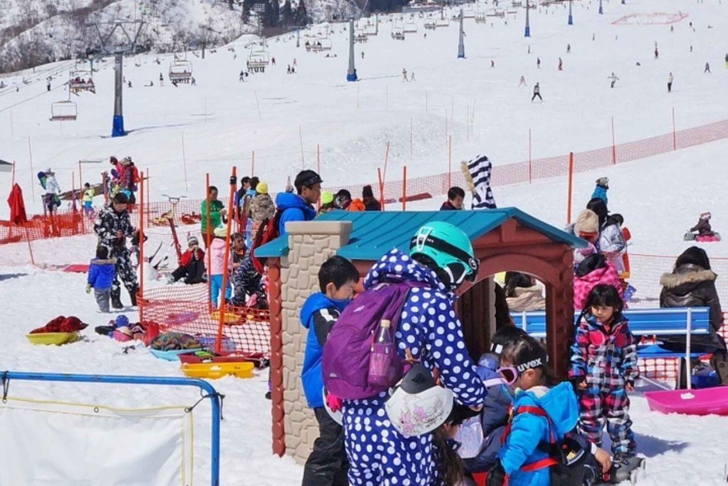 Skidagstur fra Tokyo: Niigata Iwappara-skisportsstedet