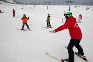 Skidagstur fra Tokyo: Niigata Iwappara-skisportsstedet