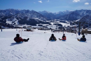 Skidagstur fra Tokyo: Niigata Iwappara-skisportsstedet