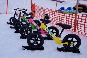 Skidagstur fra Tokyo: Niigata Iwappara-skisportsstedet