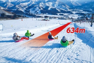 Skidagstur fra Tokyo: Niigata Iwappara-skisportsstedet