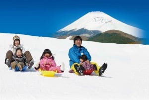 Från Tokyo: Snöupplevelse vid Fuji & piratskepp i Hakone