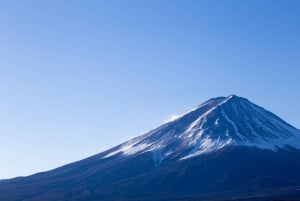 Från Tokyo: Snöupplevelse vid Fuji & piratskepp i Hakone
