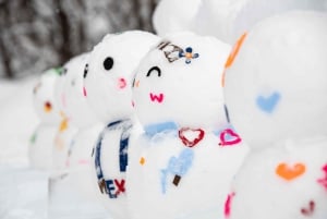 Från Tokyo: Snöupplevelse vid Fuji & piratskepp i Hakone