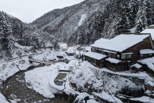 Da Tokyo: tour di 1 giorno delle scimmie delle nevi con pranzo di manzo Sukiyaki