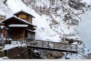 From Tokyo: Snow Monkey Park and Miso Production Day Tour