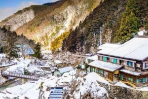 From Tokyo: Snow Monkey Park and Miso Production Day Tour