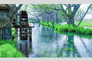 From Tokyo: Snow Monkey Park and Miso Production Day Tour