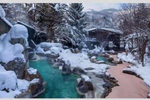 From Tokyo: Snow Monkey Park and Miso Production Day Tour