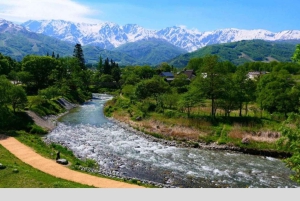 From Tokyo: Snow Monkey Park and Miso Production Day Tour