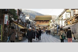 From Tokyo: Snow Monkey Park and Miso Production Day Tour