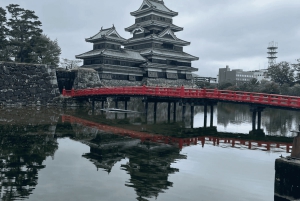 From Tokyo: Snow Monkey Park and Miso Production Day Tour