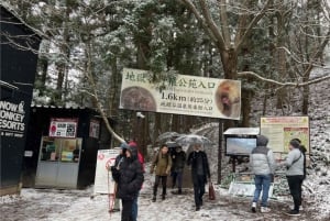 東京発：スノーモンキーパークと味噌製造日帰りツアー