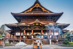 東京発：スノーモンキーパークと味噌製造日帰りツアー