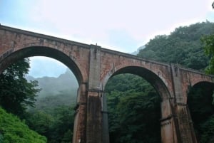 東京発：スノーモンキーパークと味噌製造日帰りツアー