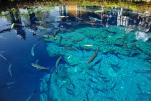東京：秋の常陸海浜公園、福良の滝＆竜神