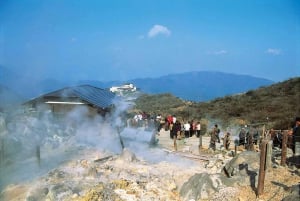 Von Tokio nach Hakone: Zugtickets und Hakone Free Pass