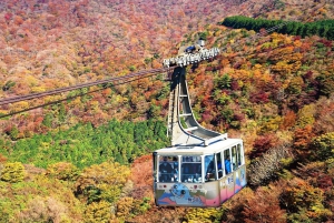 From Tokyo to Hakone: Train Tickets and Hakone Free Pass