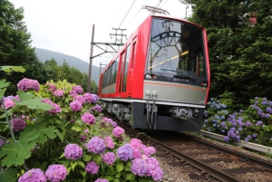 From Tokyo to Hakone: Train Tickets and Hakone Free Pass