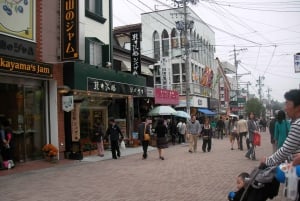 Из Токио в Каруидзаву: Билеты на поезд-пулю туда и обратно