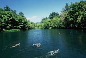 From Tokyo to Karuizawa: Round-trip Bullet Train Tickets