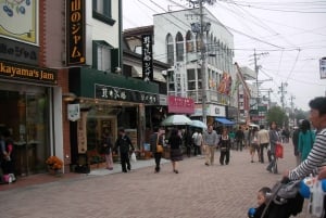 From Tokyo to Karuizawa: Round-trip Bullet Train Tickets