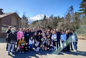 From Tokyo to Mount Fuji: Full-Day Tour and Hakone Cruise