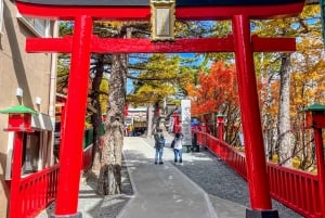 From Tokyo to Mount Fuji: Full-Day Tour and Hakone Cruise