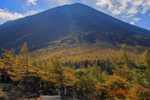 From Tokyo to Mount Fuji: Full-Day Tour and Hakone Cruise