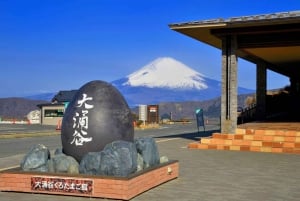 From Tokyo to Mount Fuji: Full-Day Tour and Hakone Cruise