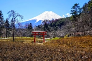 From Tokyo to Mount Fuji: Full-Day Tour and Hakone Cruise