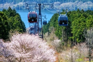 From Tokyo to Mount Fuji: Full-Day Tour and Hakone Cruise