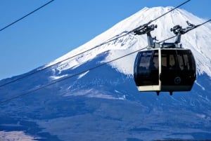 From Tokyo to Mount Fuji: Full-Day Tour and Hakone Cruise