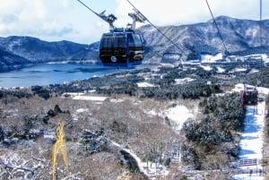 From Tokyo to Mount Fuji: Full-Day Tour and Hakone Cruise