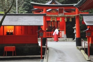 From Tokyo to Mount Fuji: Full-Day Tour and Hakone Cruise