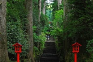 From Tokyo to Mount Fuji: Full-Day Tour and Hakone Cruise