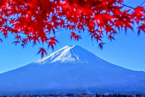 From Tokyo to Mount Fuji: Full-Day Tour and Hakone Cruise