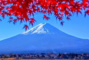 From Tokyo to Mount Fuji: Full-Day Tour and Hakone Cruise