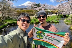 From Tokyo to Mount Fuji: Full-Day Tour and Hakone Cruise