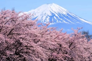 From Tokyo to Mount Fuji: Full-Day Tour and Hakone Cruise