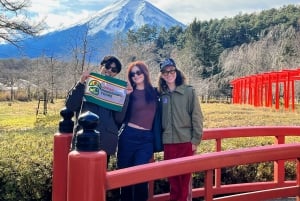 From Tokyo to Mount Fuji: Full-Day Tour and Hakone Cruise