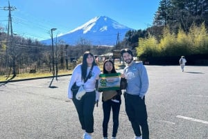 From Tokyo to Mount Fuji: Full-Day Tour and Hakone Cruise