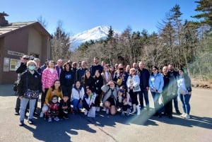 From Tokyo to Mount Fuji: Full-Day Tour and Hakone Cruise