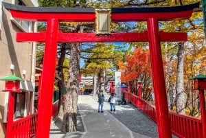 From Tokyo to Mount Fuji: Full-Day Tour and Hakone Cruise