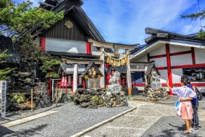 From Tokyo to Mount Fuji: Full-Day Tour and Hakone Cruise