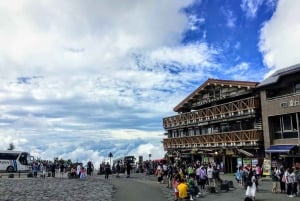 From Tokyo to Mount Fuji: Full-Day Tour and Hakone Cruise